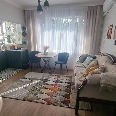 Mood Vibes וארנה