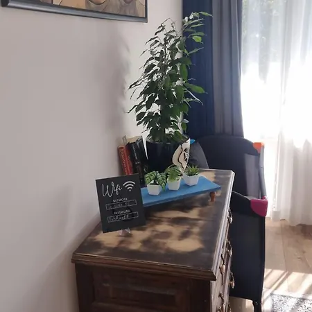 Mood Vibes וארנה