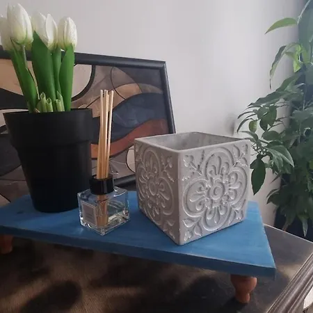 דירה Mood Vibes *