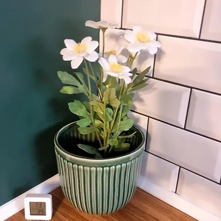 Mood Vibes شقة فارنا