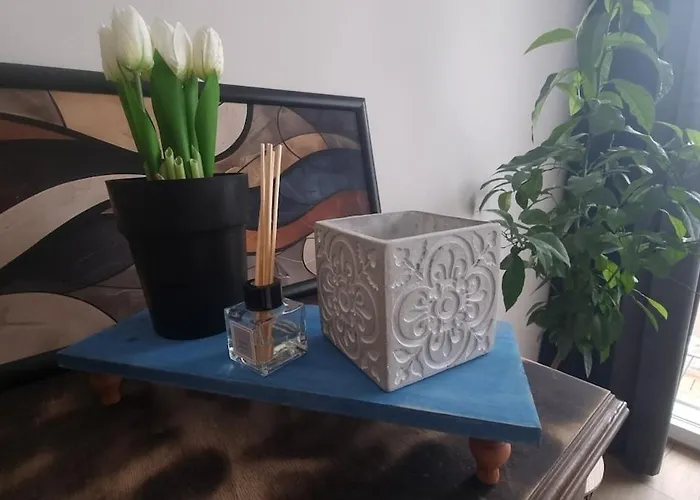 Apartment Mood Vibes *