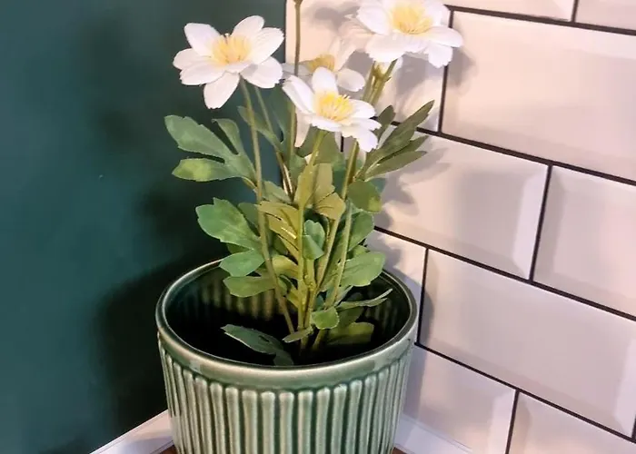 Mood Vibes Apartment Varna